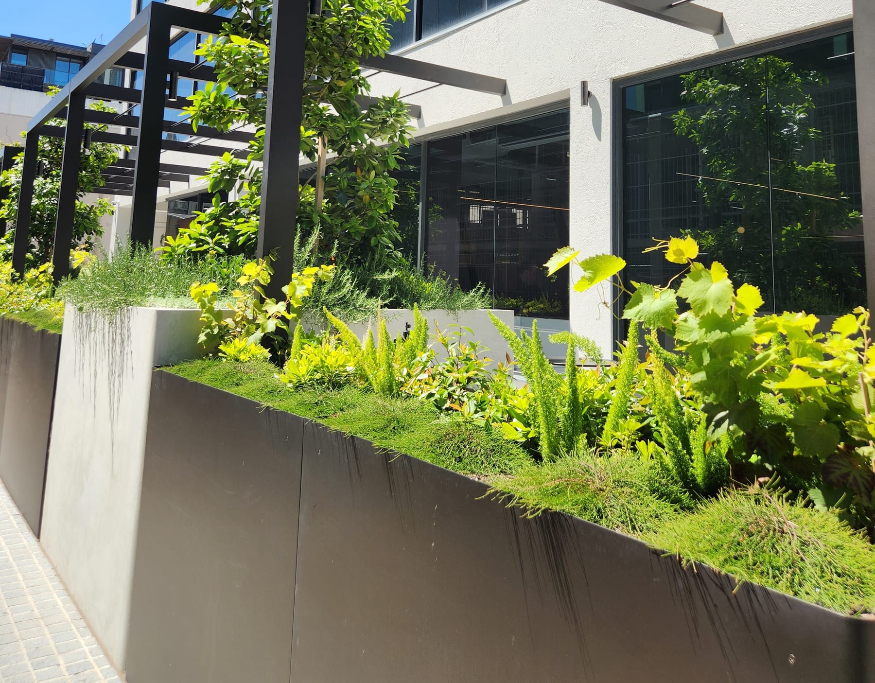 Aluminium planters framing landscaped terraces